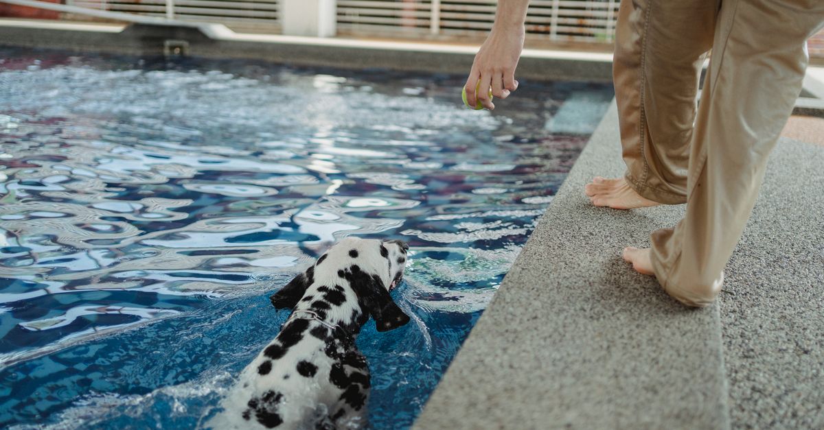 Assessing Compliance Risks with Australian Standards for Pools