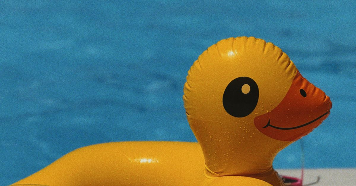 Navigating the Appointment of a Pool Safety Inspector